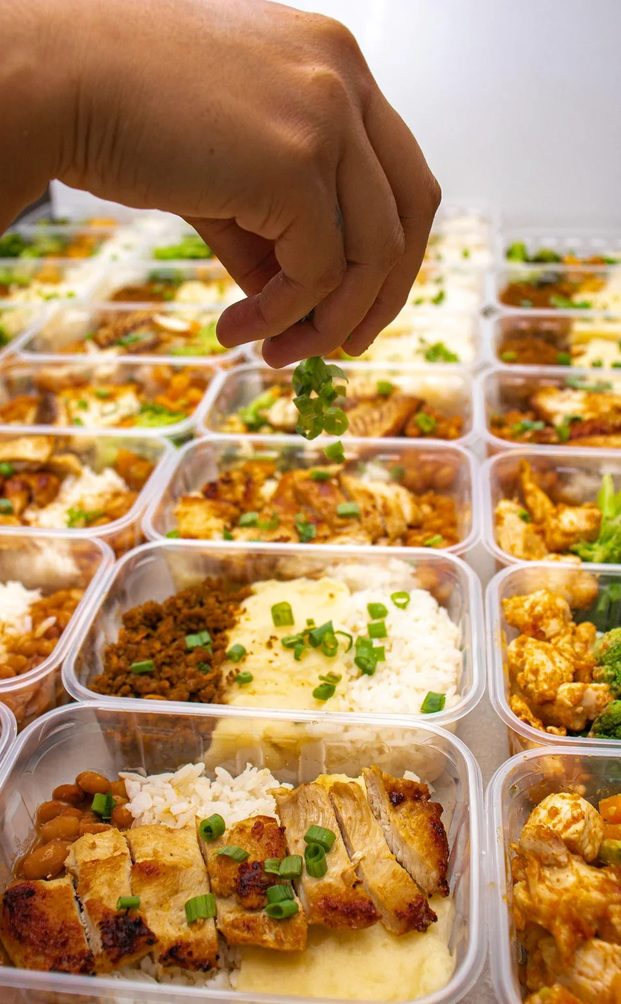 Preparo de marmitas com arroz, frango e legumes